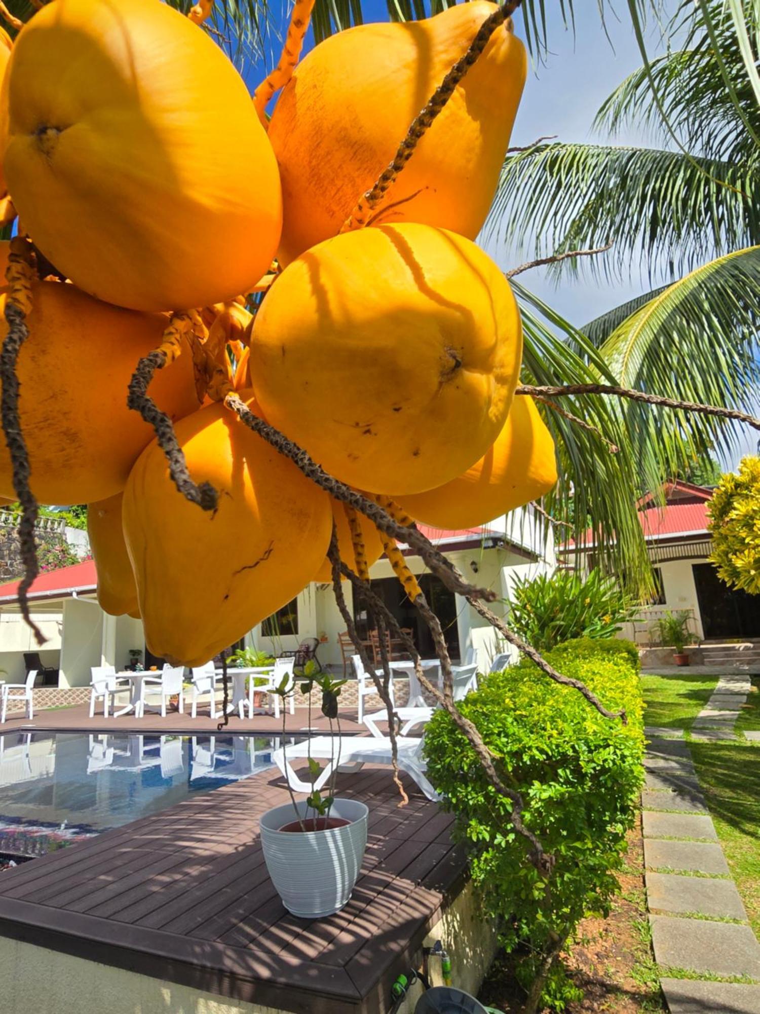 Emma'S Guest House And Self-Catering Au Cap Extérieur photo